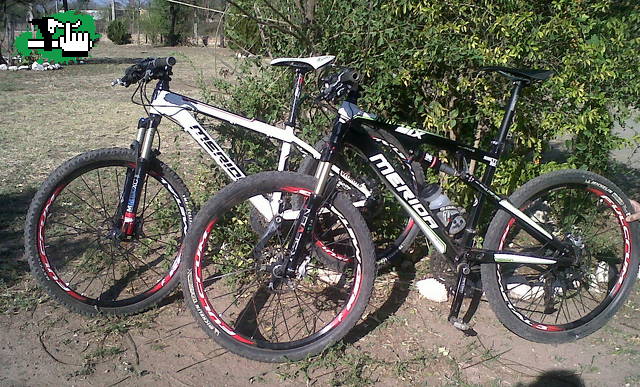 Las MERIDA oficiales de LB PARTES