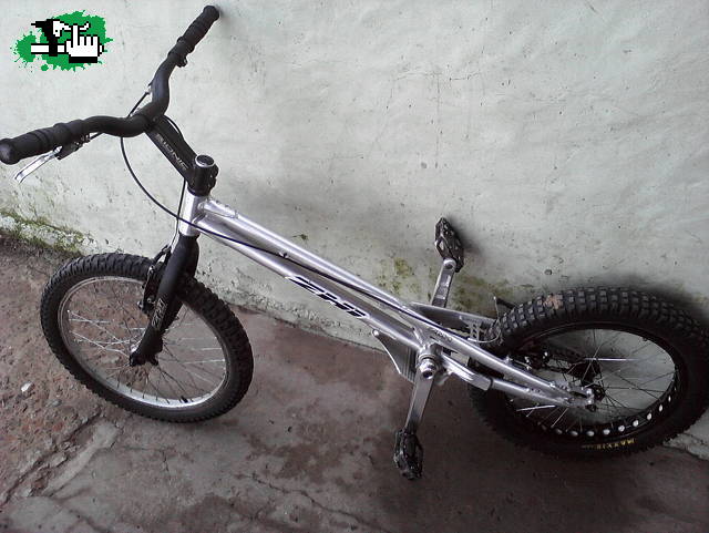 pablozhizm1