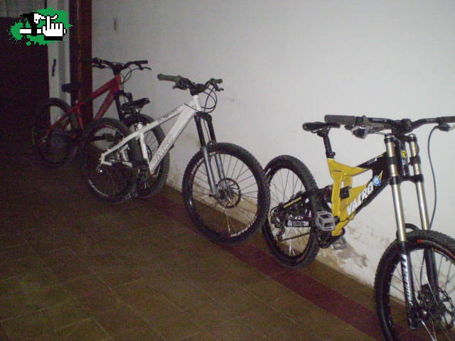 antes de cura DH...