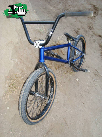 david barrera check