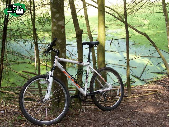 Les presento mi bike!!!!