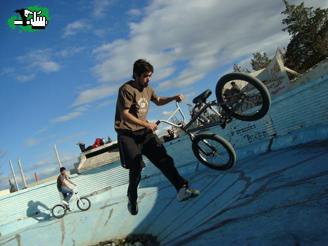 Algunas en una pileta abandonada