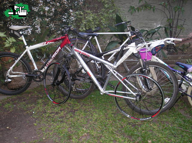 LOS BICHOS DE LA FAMILIA