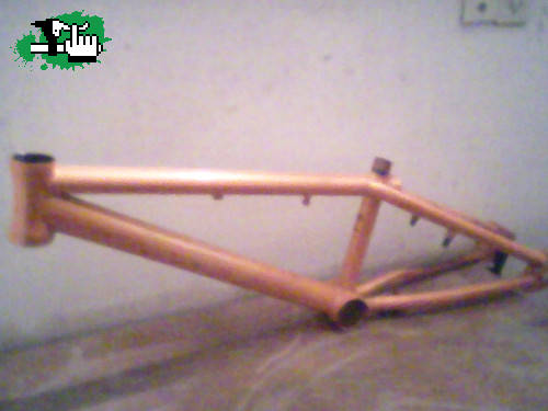 maxibmx1