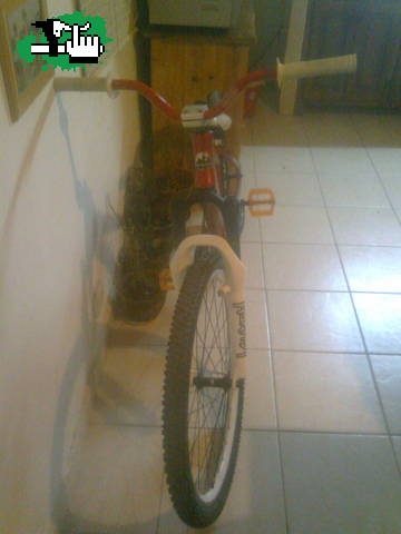 myy roky al fin