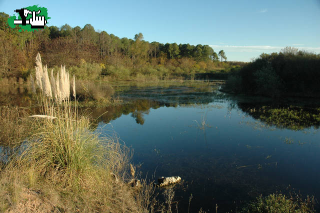 REABRIO EL CIRCUITO DE PILAR