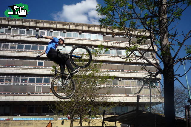 RedBull Campus Dual