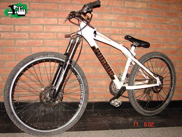 gtmauri