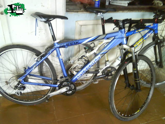 nueva compra.. cuadro sars shark