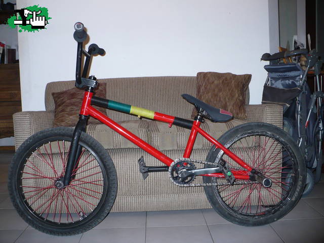bike chek actual 