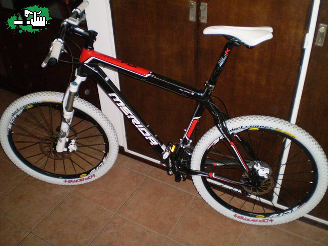 Evolucion4