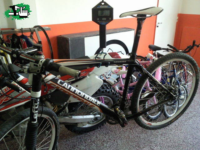 Taurine Team Tunned en Patagonia - Bikes