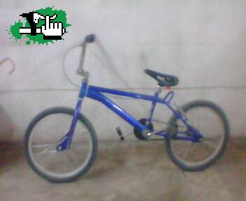 opinen q tal esta