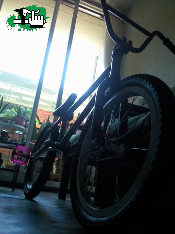 Bike Check