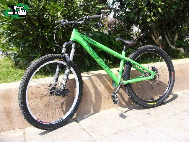 New bike check