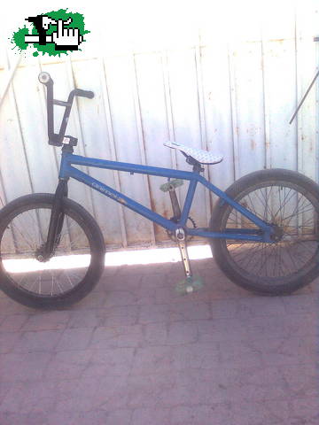 my amorsote