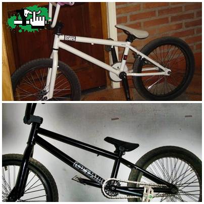 Cual es mejor?