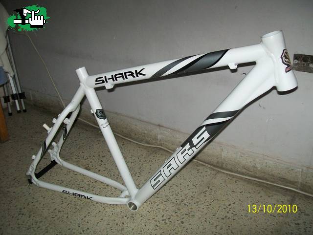 Cuadro SARS Shark