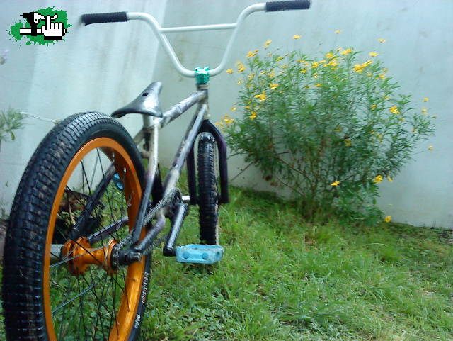 bike check 