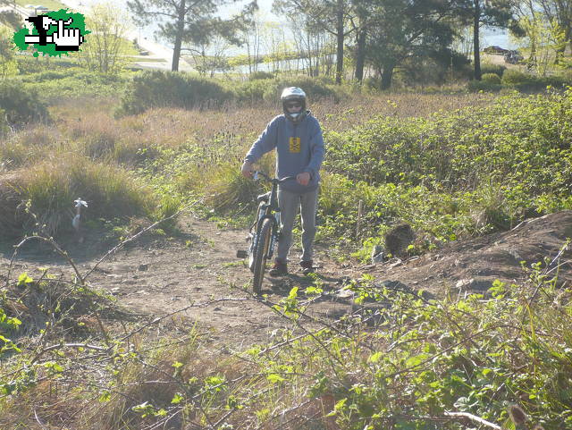 tandil