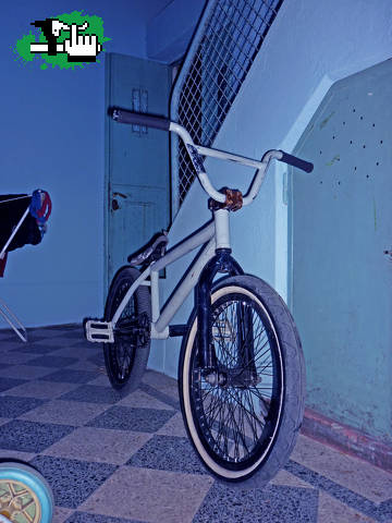 Mi feita pintada