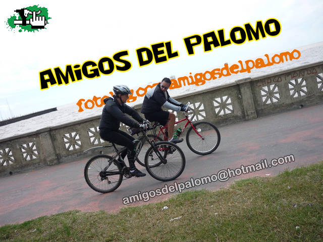 SALIDA DEL CENSO Y DUELO PINGUINO!
