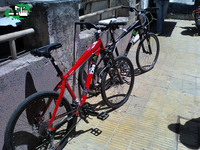 Diamondback Response : Mis Locuras