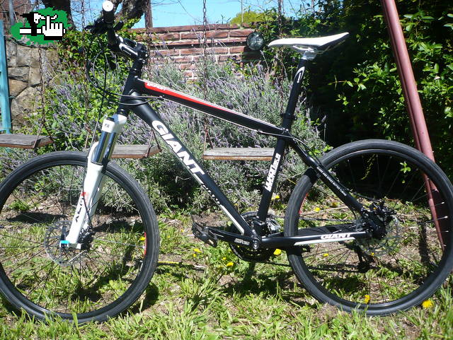 mi nueva nave y mi nueva pequeña molestia...