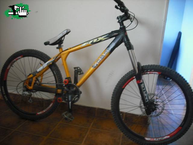 la bikaa