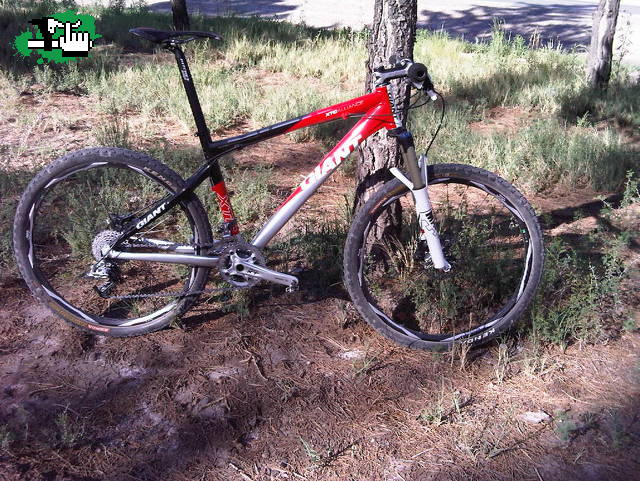 para el xtc club
