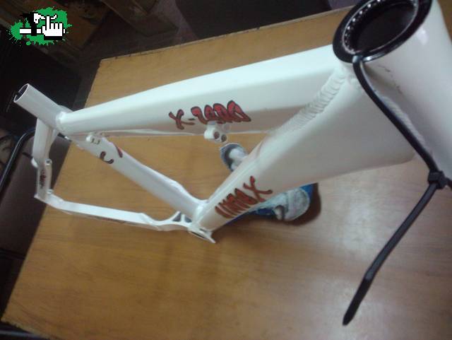 sintex x-zero