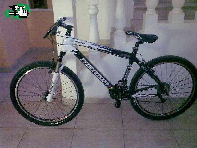 Llego Mi Merida