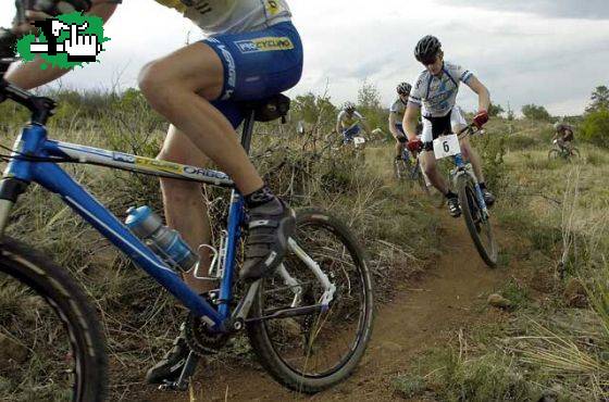 Entrenamiento