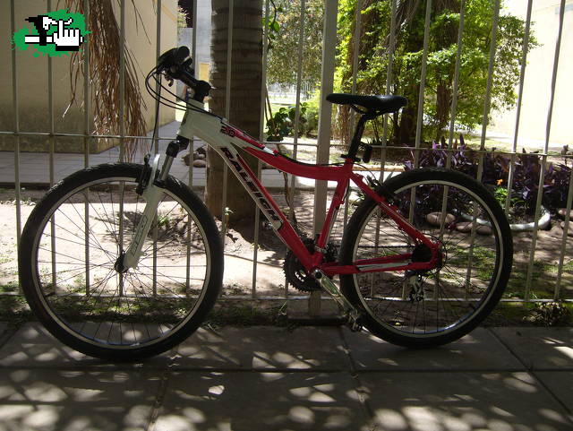 Las chicas tienen bici!!!