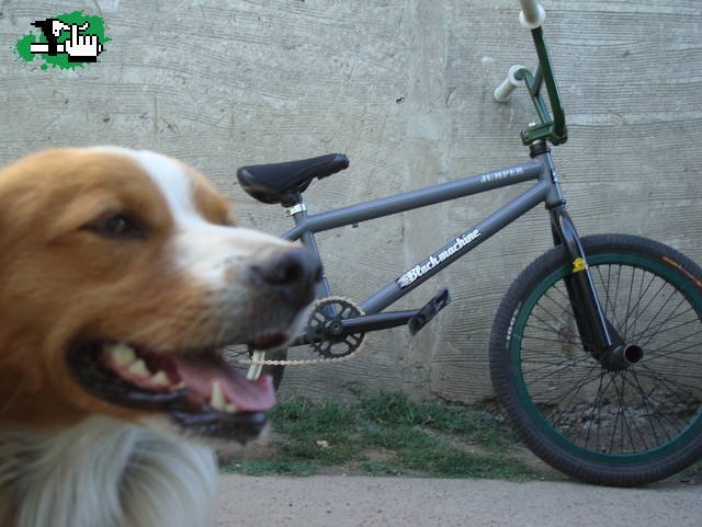 mi bike con maza y plato nuevo :)