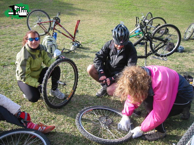 Entrenamiento y Clinica