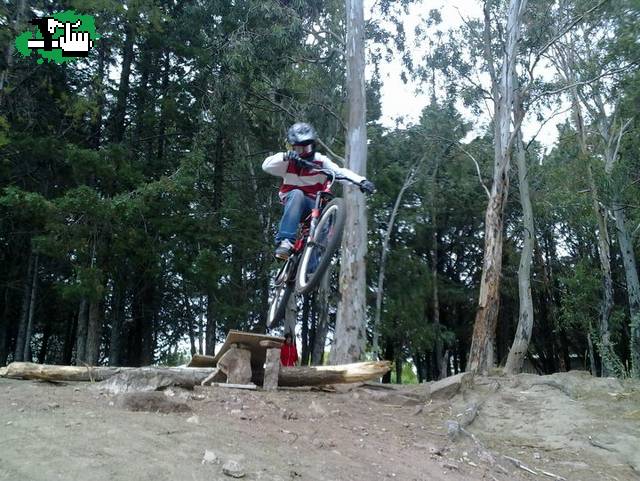 Probando q salia