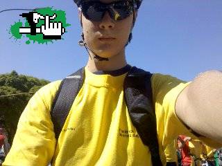 domingo 21/11