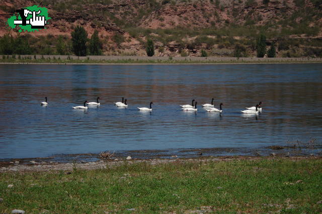 Río Negro- La Buitrera