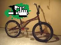 fedepascotto