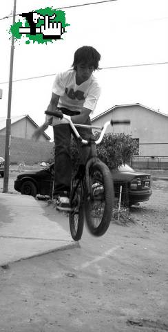 barpin