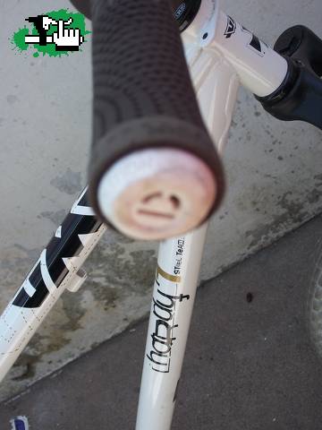 Bike Check