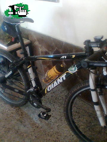 la gitana..!