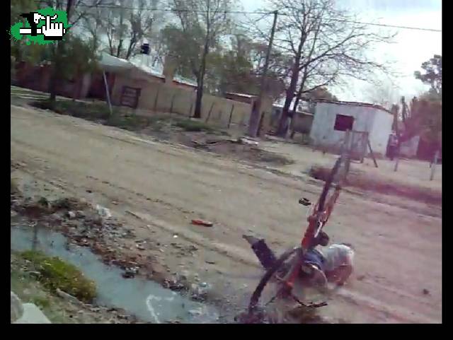 el chonfi 1er PALO