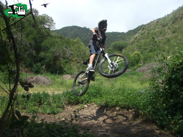 tarde en san roque