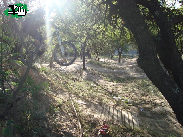 mini dh cordoba