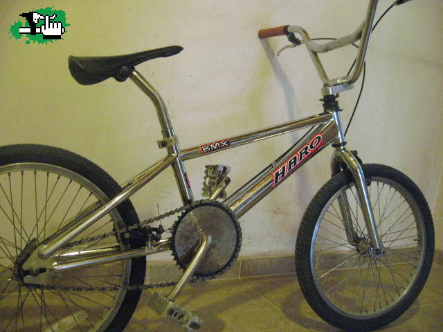 Pipocleta