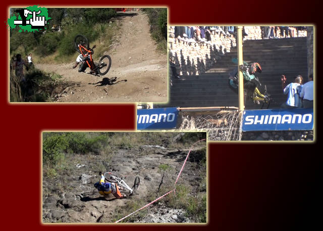 Concurso "Palo Alpedal 2010"