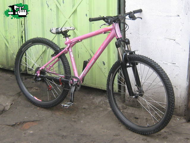 mii bike