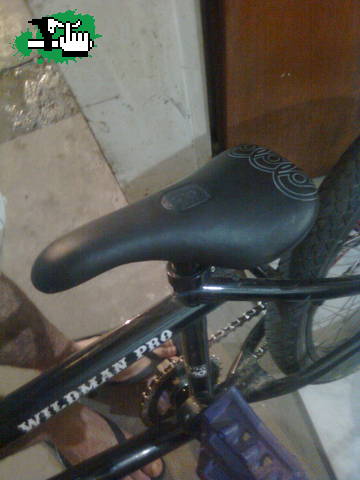 gobbini_bmx